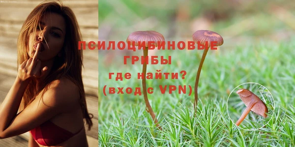 spice Алексин