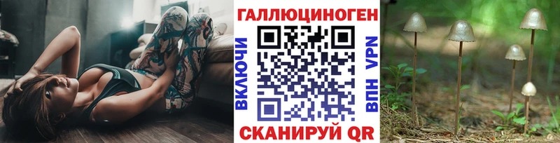 закладка  Северодвинск  Галлюциногенные грибы Cubensis 